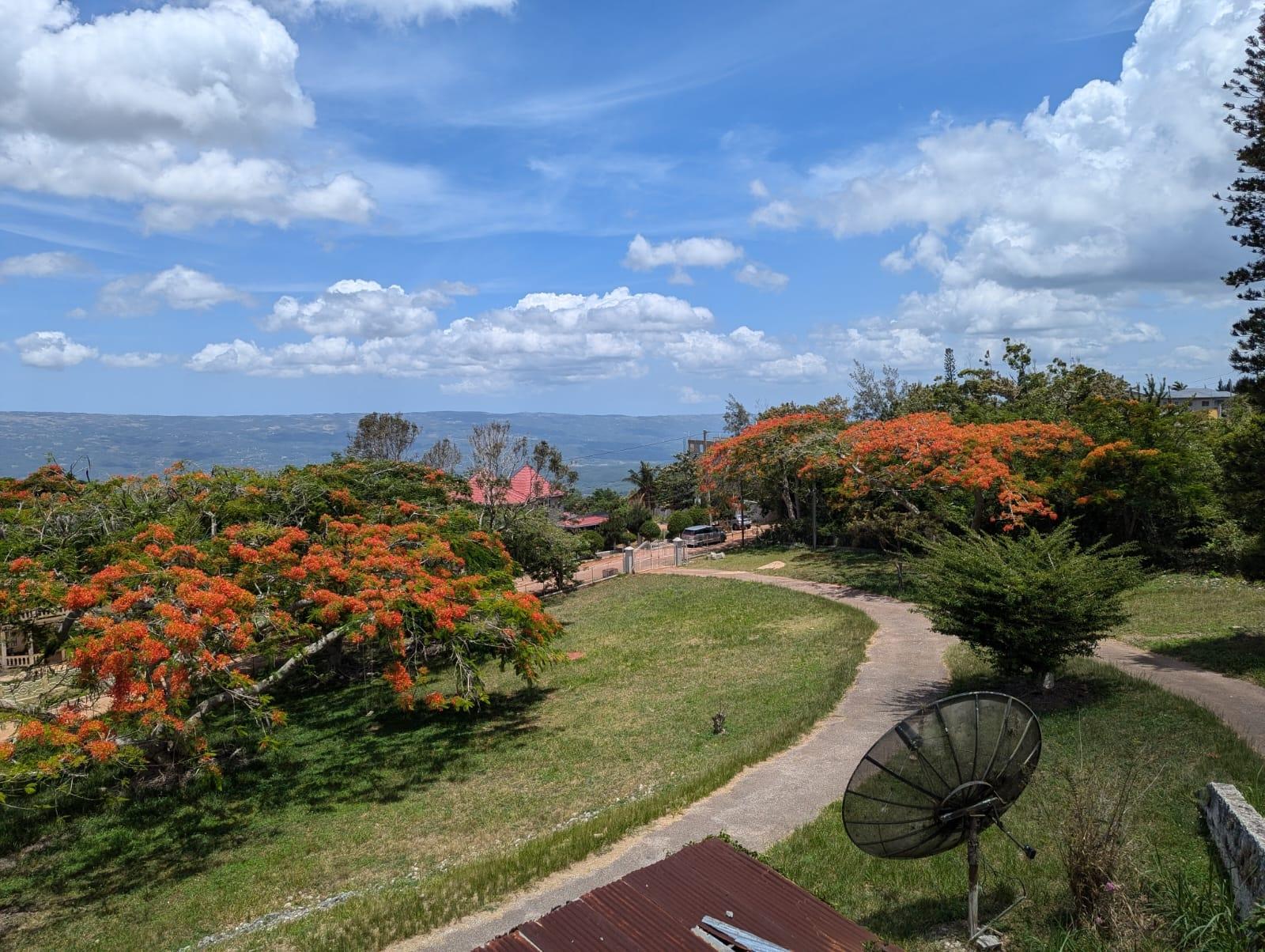 Fourteenth image of Lot 36 Spur Tree in Spur Tree, Manchester, Jamaica - property is For Sale