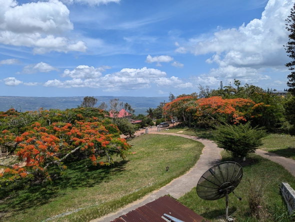 Fourteenth image of Lot 36 Spur Tree in Spur Tree, Manchester, Jamaica - property is For Sale