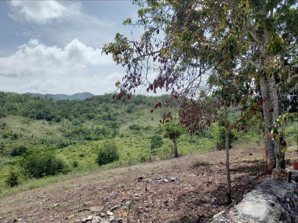 Seventh image of Claremont in Claremont, St. Ann, Jamaica - property is For Sale