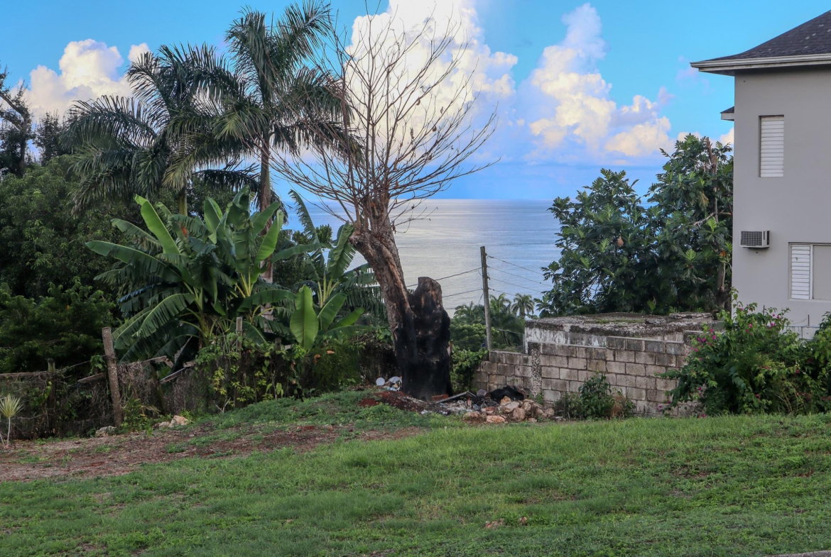 Twenty-Second image of 14 Unity Hall in Unity Hall, St. James, Jamaica - property is For Rent