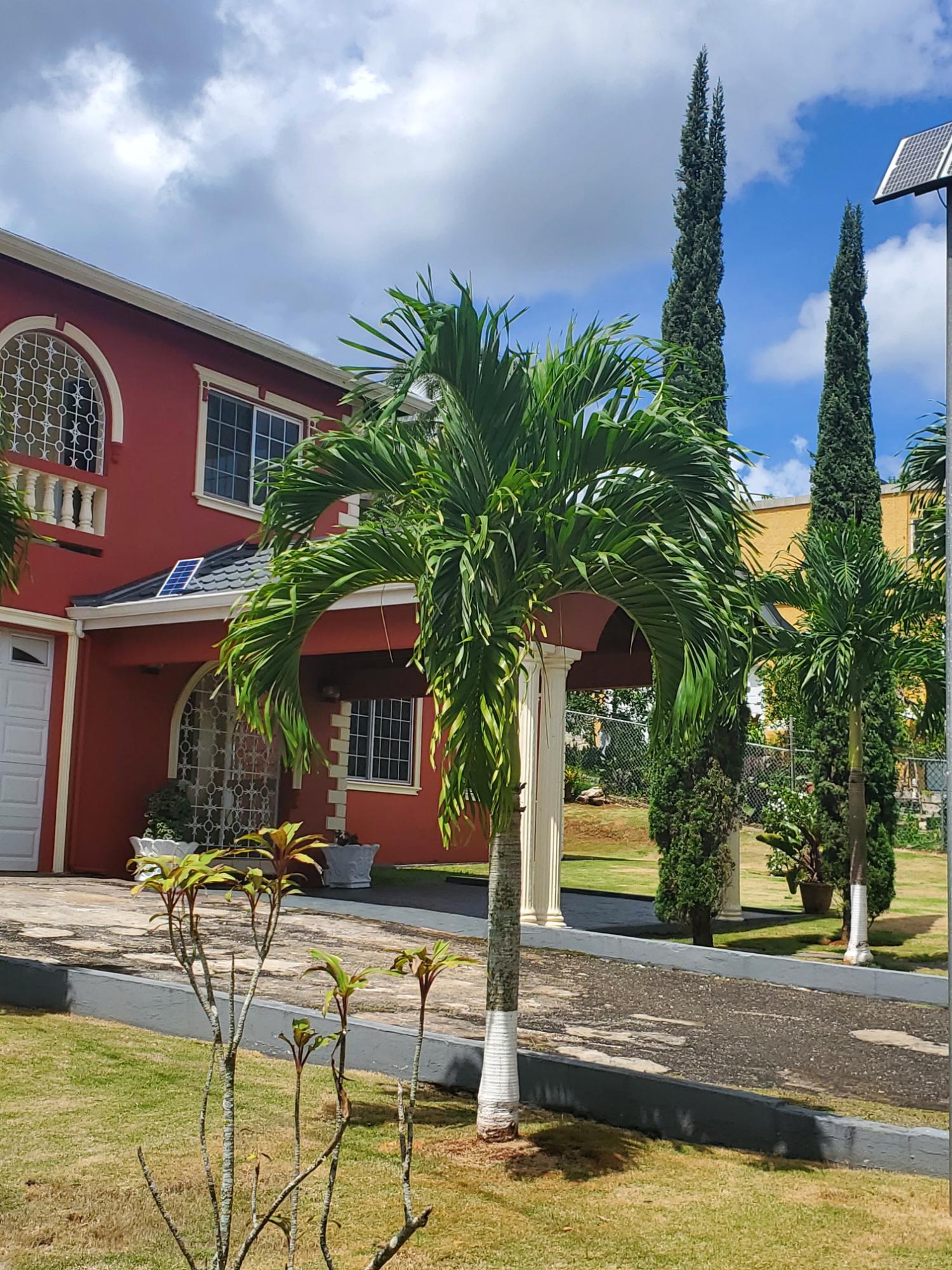 Stunning-4-Bedroom-House-for-Rent-in-Manchester-Jamaica-10-Patrick-Road Third image of 10 Patrick Road in Mandeville, Manchester, Jamaica - property is For Rent