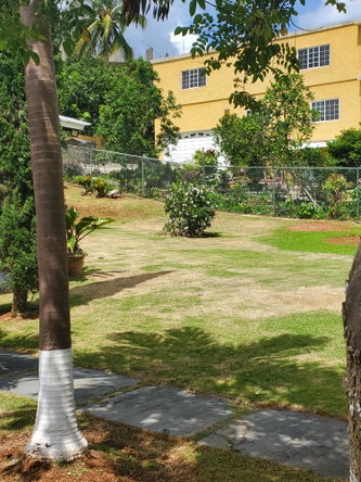 Sixth image of 10 Patrick Road in Mandeville, Manchester, Jamaica - property is For Rent