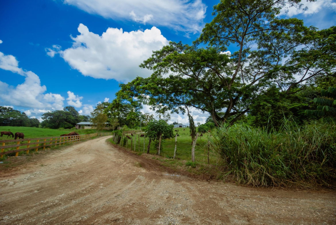 Second image of Burton's District in Linstead, St. Catherine, Jamaica - property is For Sale