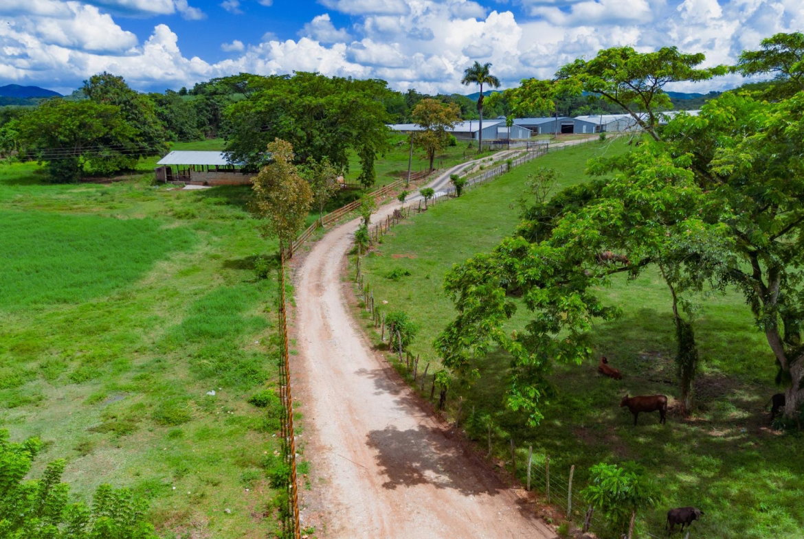 Third image of Burton's District in Linstead, St. Catherine, Jamaica - property is For Sale