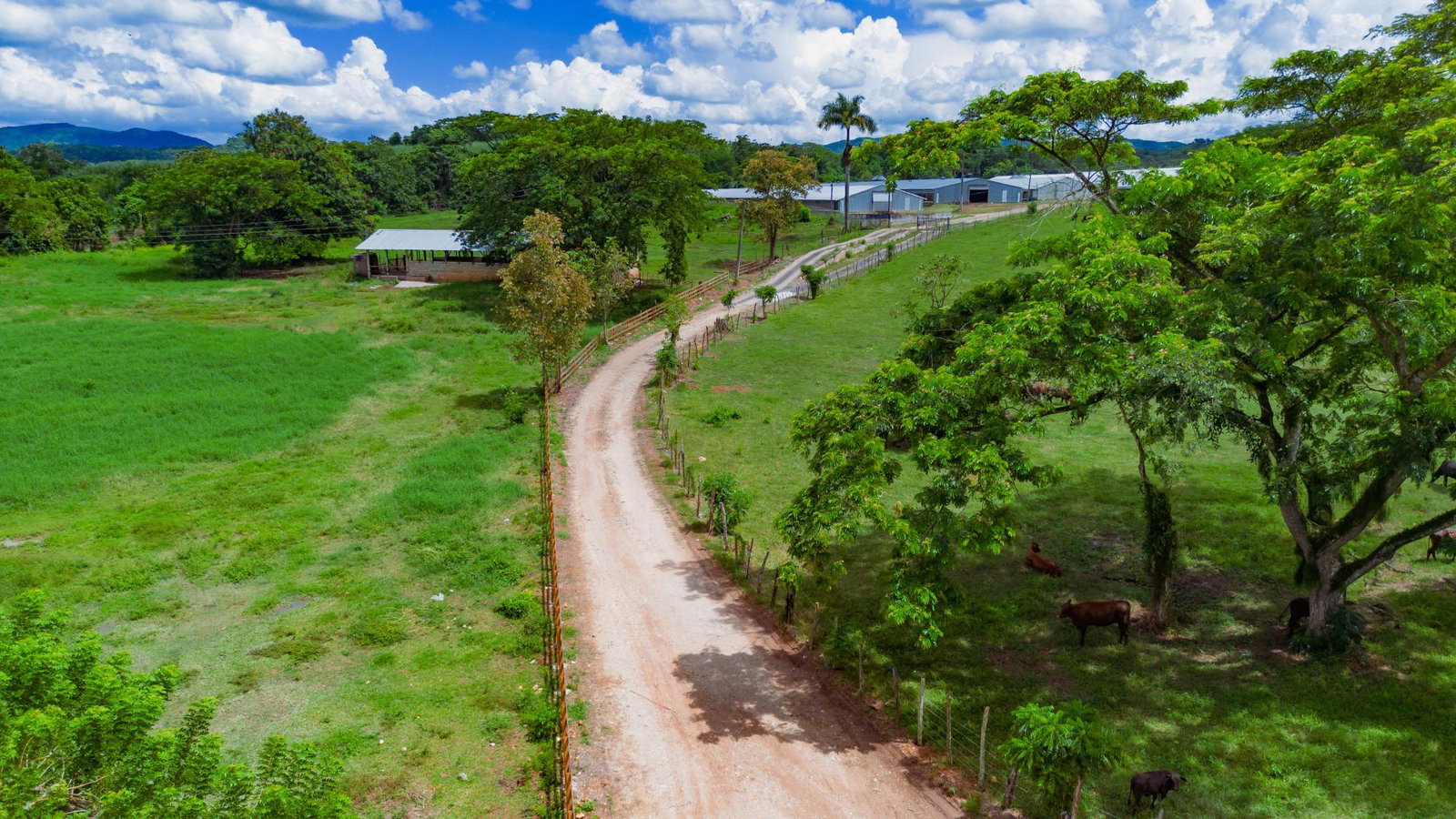 Third image of Burton's District in Linstead, St. Catherine, Jamaica - property is For Sale