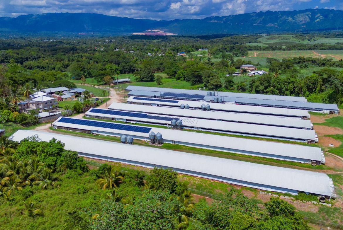 Fourth image of Burton's District in Linstead, St. Catherine, Jamaica - property is For Sale