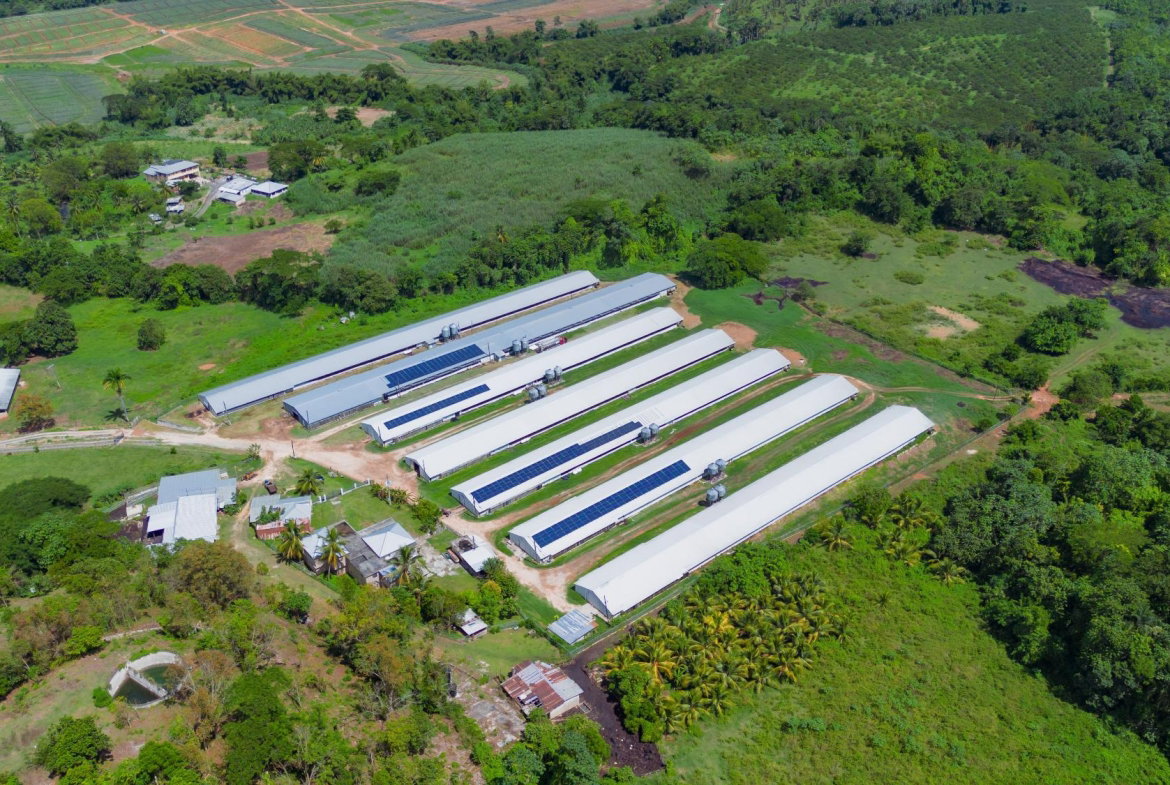 Fifth image of Burton's District in Linstead, St. Catherine, Jamaica - property is For Sale