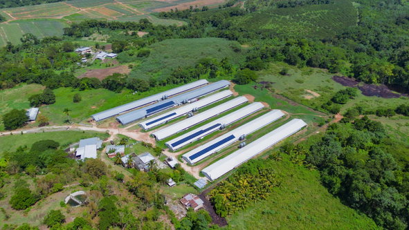 Fifth image of Burton's District in Linstead, St. Catherine, Jamaica - property is For Sale