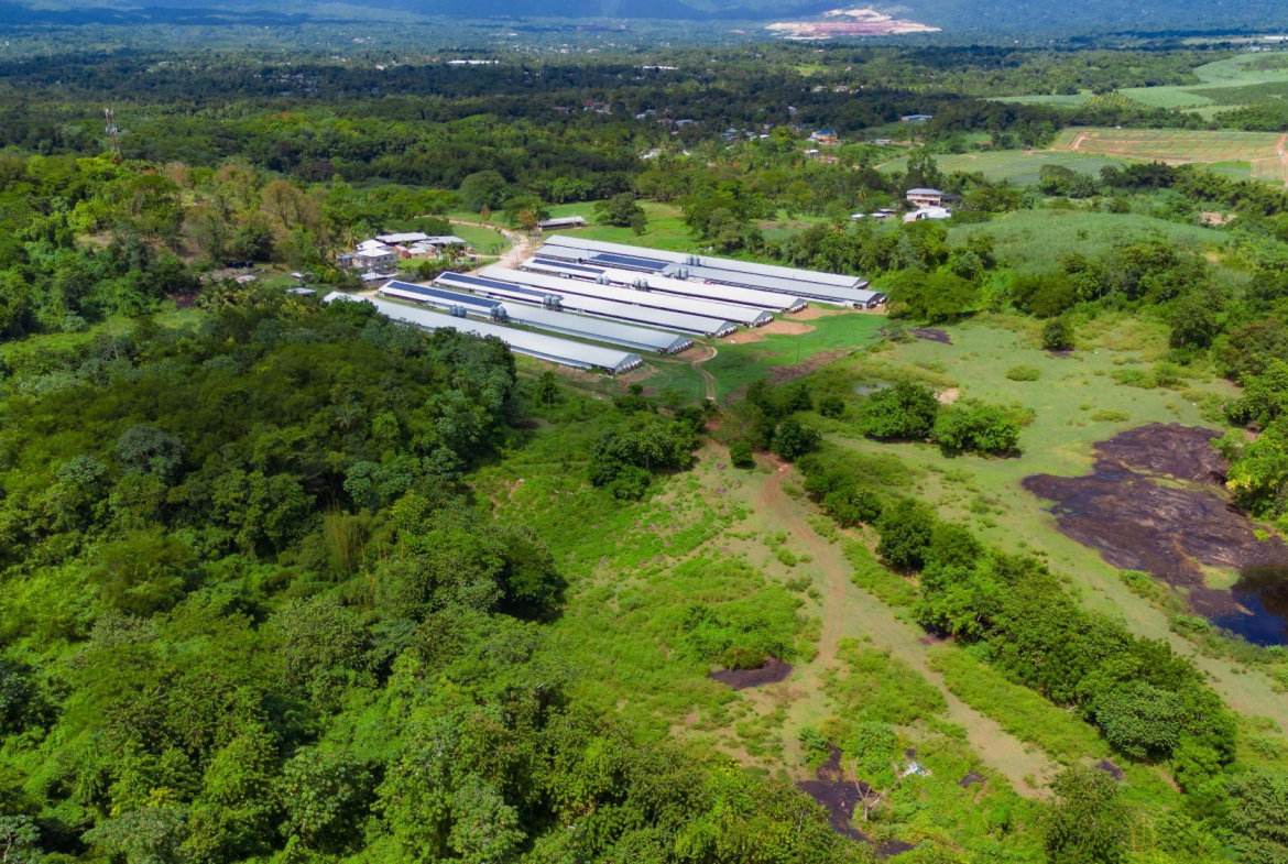 Sixth image of Burton's District in Linstead, St. Catherine, Jamaica - property is For Sale