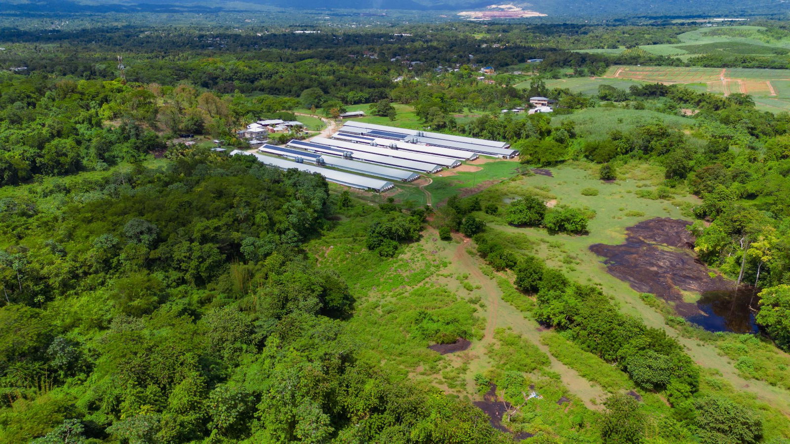 Sixth image of Burton's District in Linstead, St. Catherine, Jamaica - property is For Sale