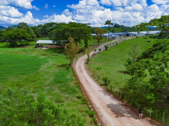 First image of Burton's District in Linstead, St. Catherine, Jamaica - property is For Sale