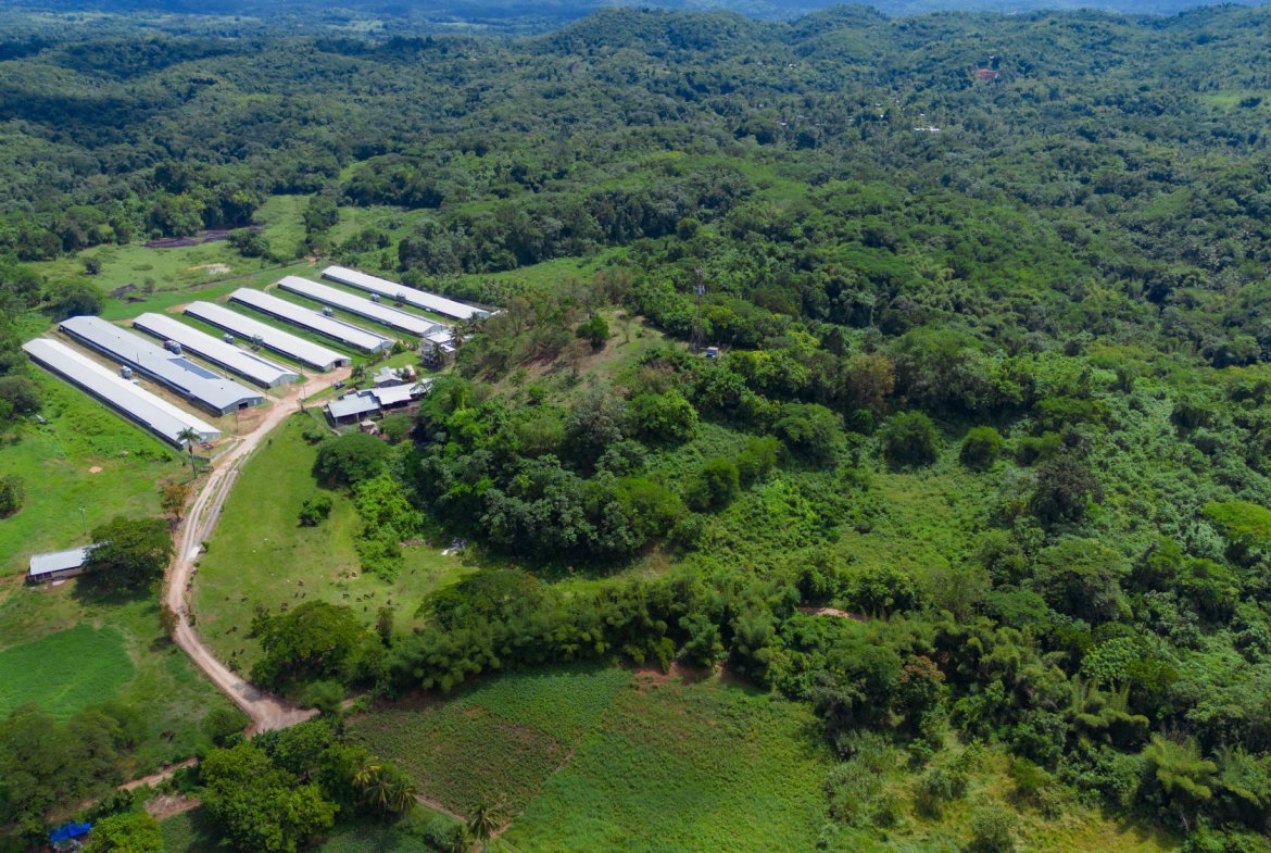 Seventh image of Burton's District in Linstead, St. Catherine, Jamaica - property is For Sale