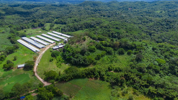 Seventh image of Burton's District in Linstead, St. Catherine, Jamaica - property is For Sale
