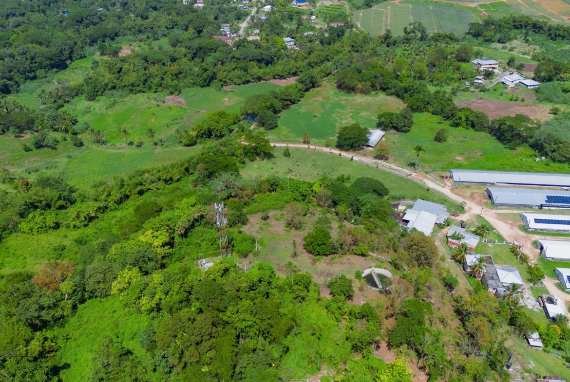 Eighth image of Burton's District in Linstead, St. Catherine, Jamaica - property is For Sale