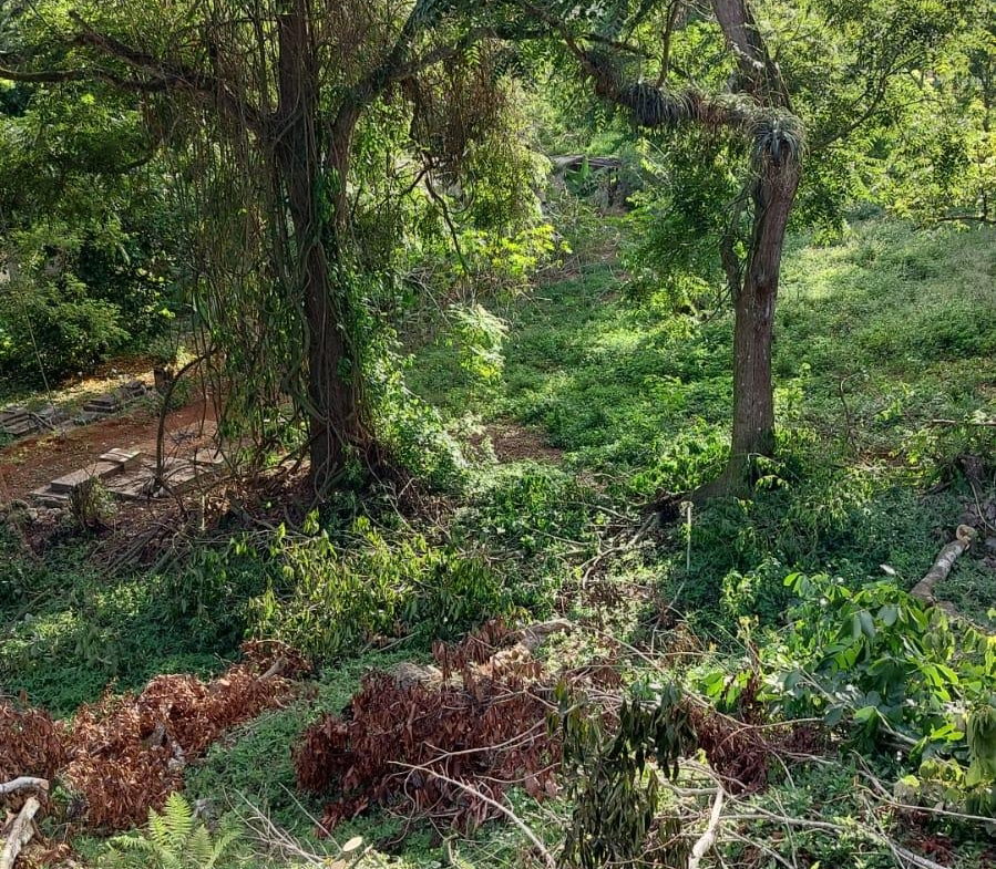 Eleventh image of Heartease, Manchester in Heartease, Manchester, Jamaica - property is For Sale