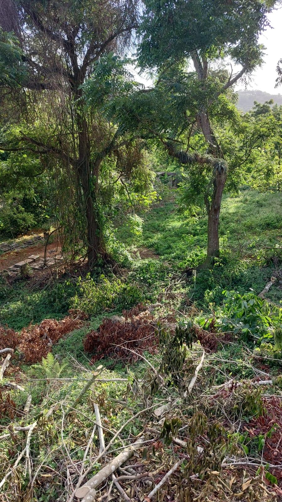 Unfinished-7500-Sq.Ft_.-Mansion-for-Sale-in-Heartease-Manchester-Jamaica Eleventh image of Heartease, Manchester in Heartease, Manchester, Jamaica - property is For Sale