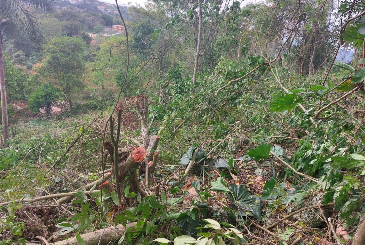 Twelfth image of Heartease, Manchester in Heartease, Manchester, Jamaica - property is For Sale