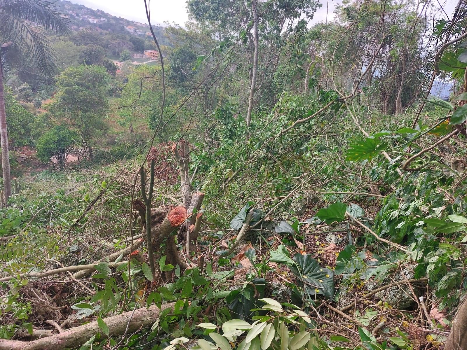 Unfinished-7500-Sq.Ft_.-Mansion-for-Sale-in-Heartease-Manchester-Jamaica Twelfth image of Heartease, Manchester in Heartease, Manchester, Jamaica - property is For Sale