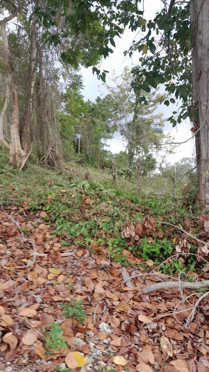 Unfinished-7500-Sq.Ft_.-Mansion-for-Sale-in-Heartease-Manchester-Jamaica Thirteenth image of Heartease, Manchester in Heartease, Manchester, Jamaica - property is For Sale