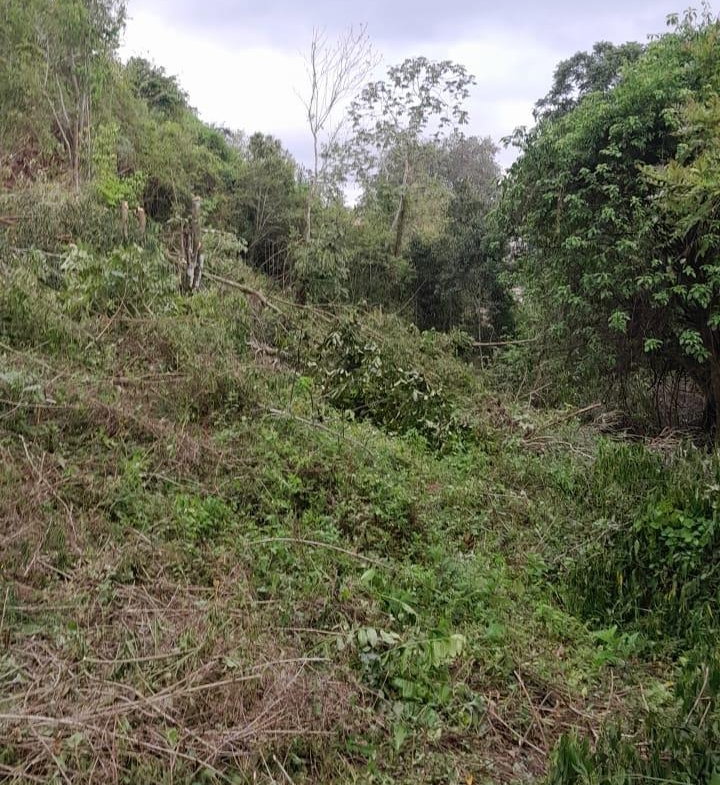 Fourteenth image of Heartease, Manchester in Heartease, Manchester, Jamaica - property is For Sale