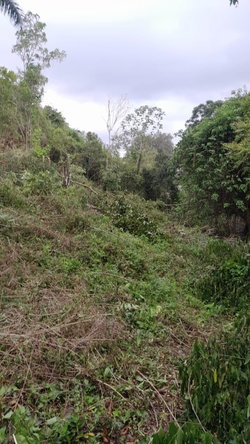 Fourteenth image of Heartease, Manchester in Heartease, Manchester, Jamaica - property is For Sale