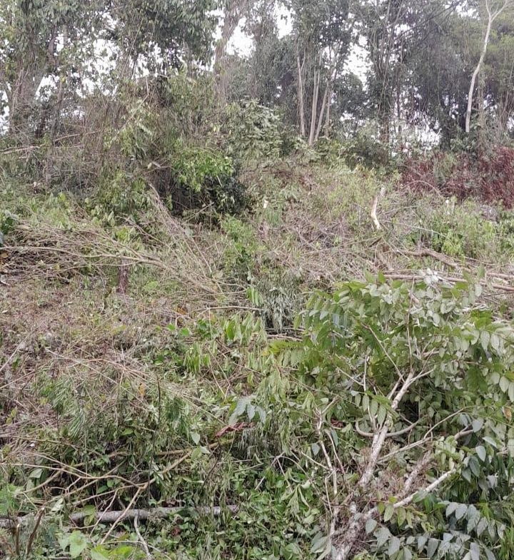 Fifteenth image of Heartease, Manchester in Heartease, Manchester, Jamaica - property is For Sale