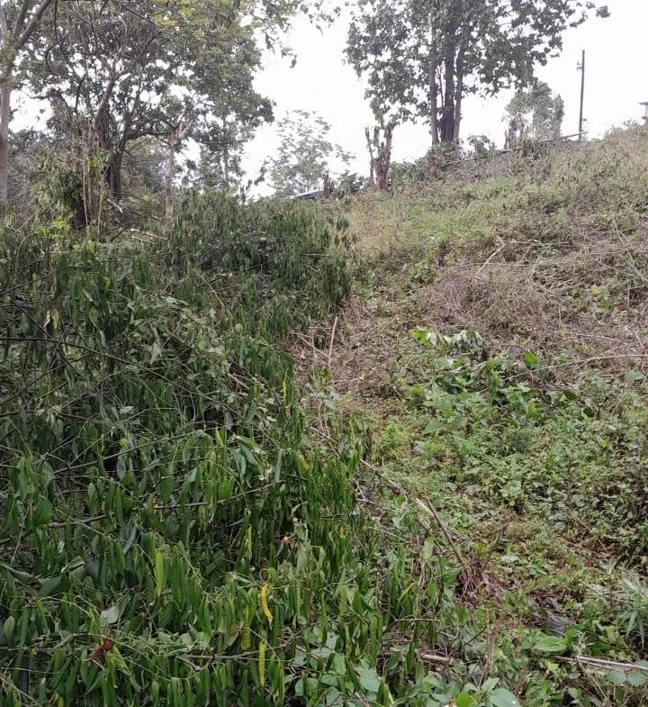 Sixteenth image of Heartease, Manchester in Heartease, Manchester, Jamaica - property is For Sale