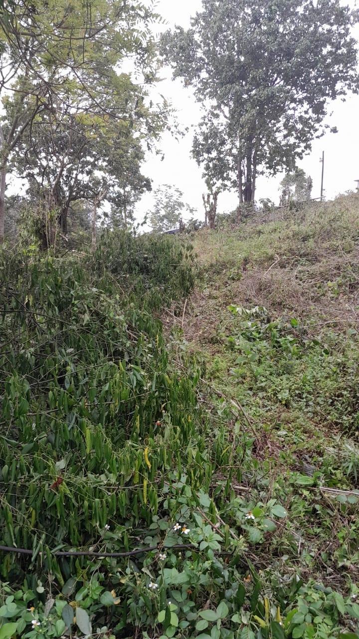 Unfinished-7500-Sq.Ft_.-Mansion-for-Sale-in-Heartease-Manchester-Jamaica Sixteenth image of Heartease, Manchester in Heartease, Manchester, Jamaica - property is For Sale