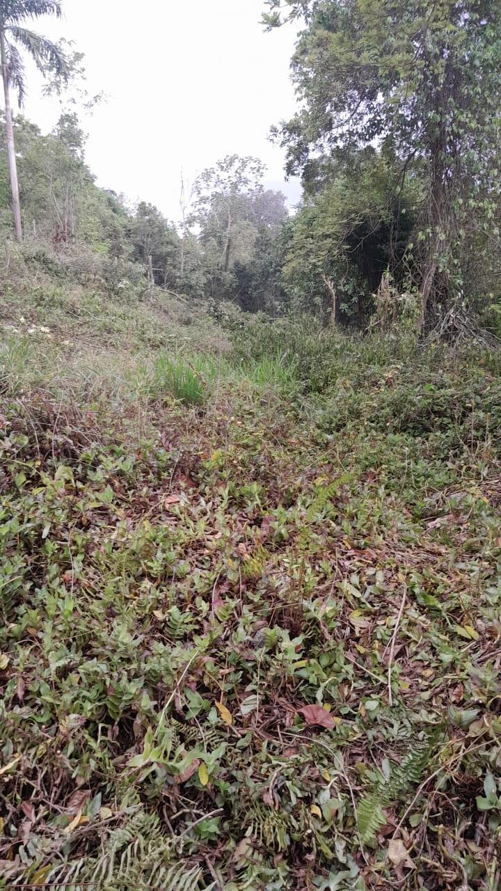 Unfinished-7500-Sq.Ft_.-Mansion-for-Sale-in-Heartease-Manchester-Jamaica Seventeenth image of Heartease, Manchester in Heartease, Manchester, Jamaica - property is For Sale