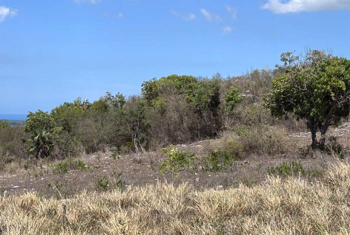 First image of Round Hill, st Elizabeth in Treasure Beach, St. Elizabeth, Jamaica - property is For Sale