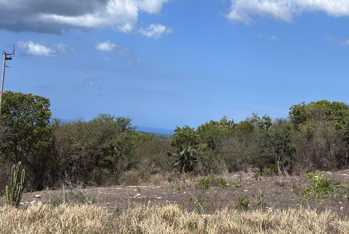 Third image of Round Hill, st Elizabeth in Treasure Beach, St. Elizabeth, Jamaica - property is For Sale