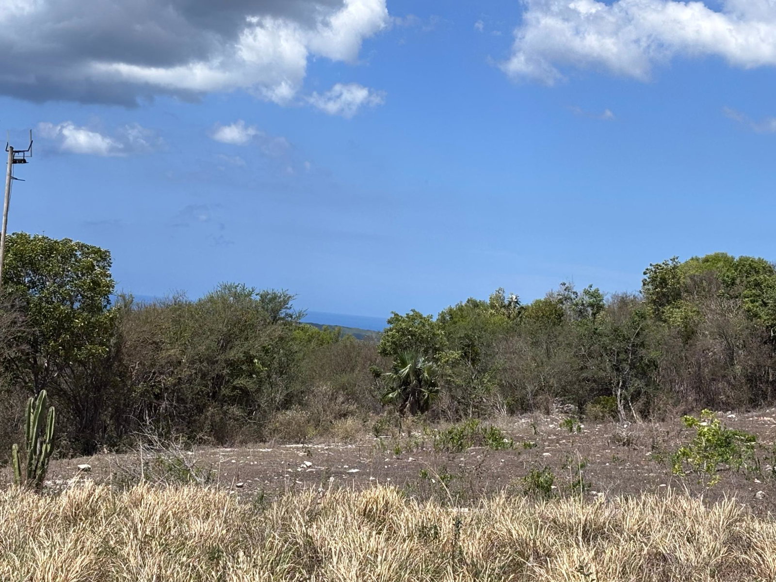 Third image of Round Hill, st Elizabeth in Treasure Beach, St. Elizabeth, Jamaica - property is For Sale