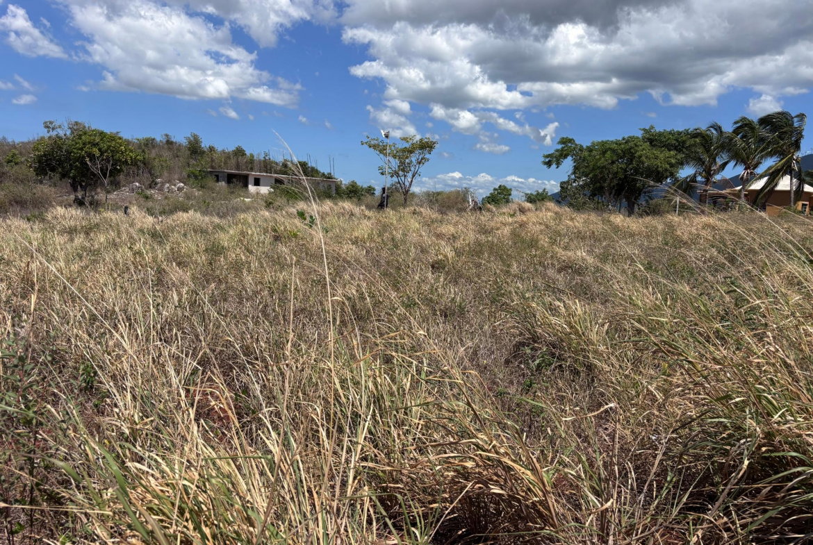 Fourth image of Round Hill, st Elizabeth in Treasure Beach, St. Elizabeth, Jamaica - property is For Sale