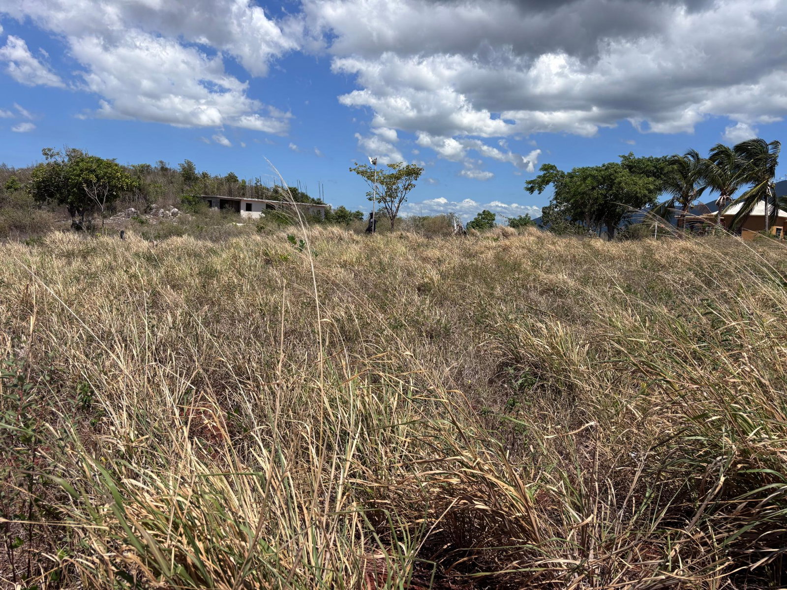 Fourth image of Round Hill, st Elizabeth in Treasure Beach, St. Elizabeth, Jamaica - property is For Sale