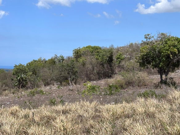 First image of Round Hill, st Elizabeth in Treasure Beach, St. Elizabeth, Jamaica - property is For Sale