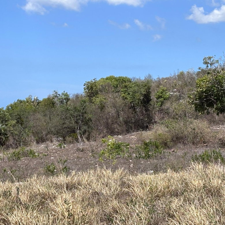 First image of Round Hill, st Elizabeth in Treasure Beach, St. Elizabeth, Jamaica - property is For Sale