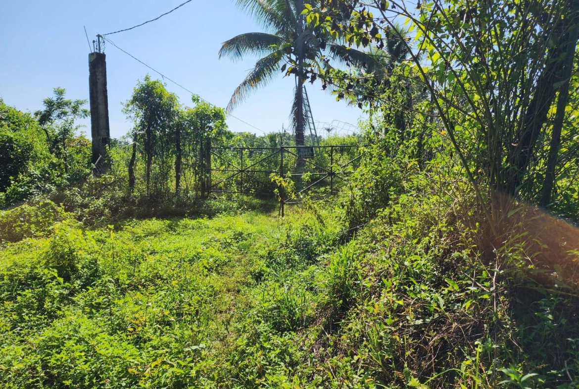 Second image of 70a Haughton Grove in Haughton Grove, Hanover, Jamaica - property is For Sale