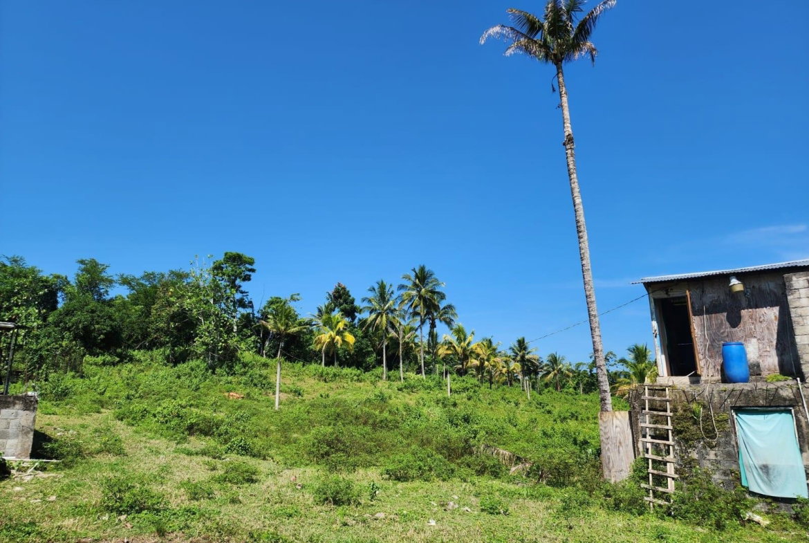 Eleventh image of 70a Haughton Grove in Haughton Grove, Hanover, Jamaica - property is For Sale