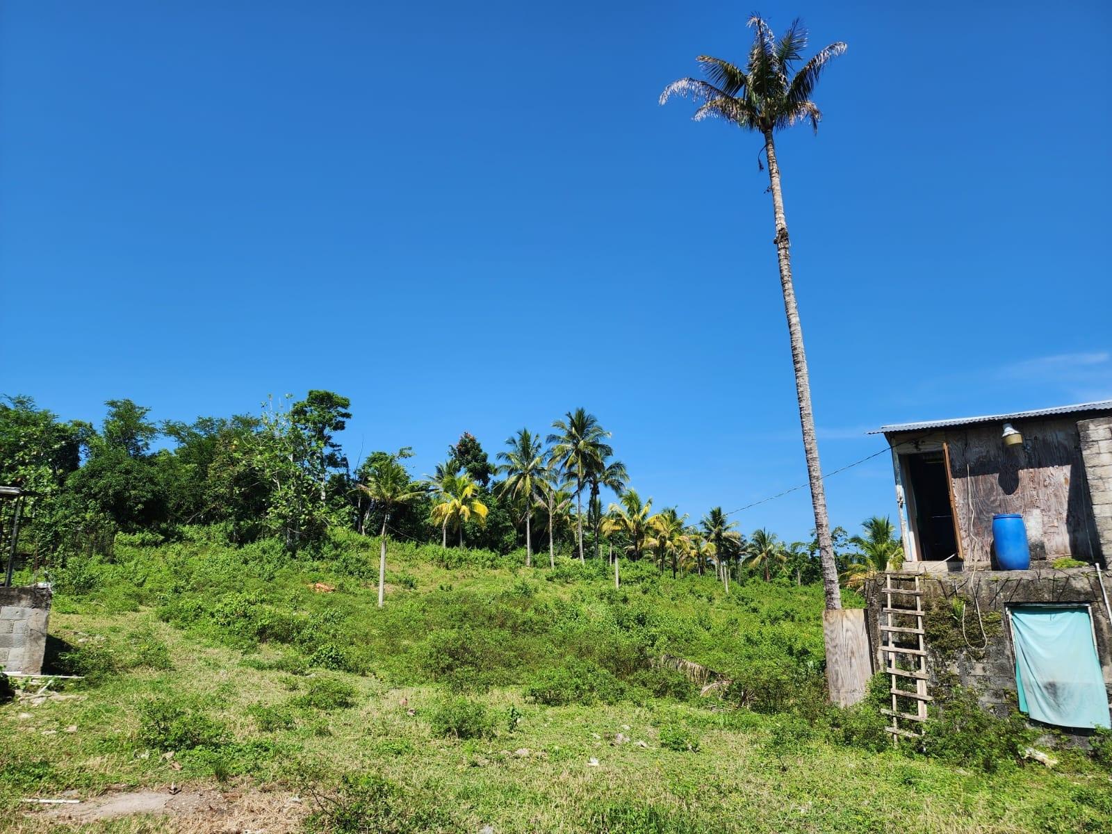 Versatile-Development-Land-for-Sale-in-Haughton-Grove-Hanover-Jamaica Eleventh image of 70a Haughton Grove in Haughton Grove, Hanover, Jamaica - property is For Sale