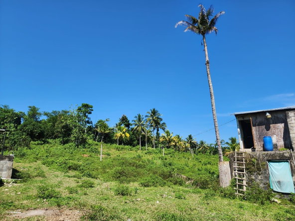 Eleventh image of 70a Haughton Grove in Haughton Grove, Hanover, Jamaica - property is For Sale