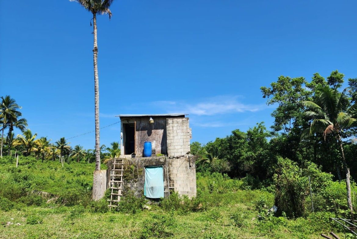 Twelfth image of 70a Haughton Grove in Haughton Grove, Hanover, Jamaica - property is For Sale