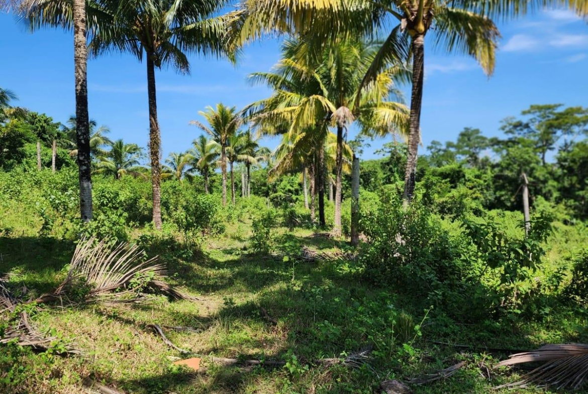 First image of 70a Haughton Grove in Haughton Grove, Hanover, Jamaica - property is For Sale