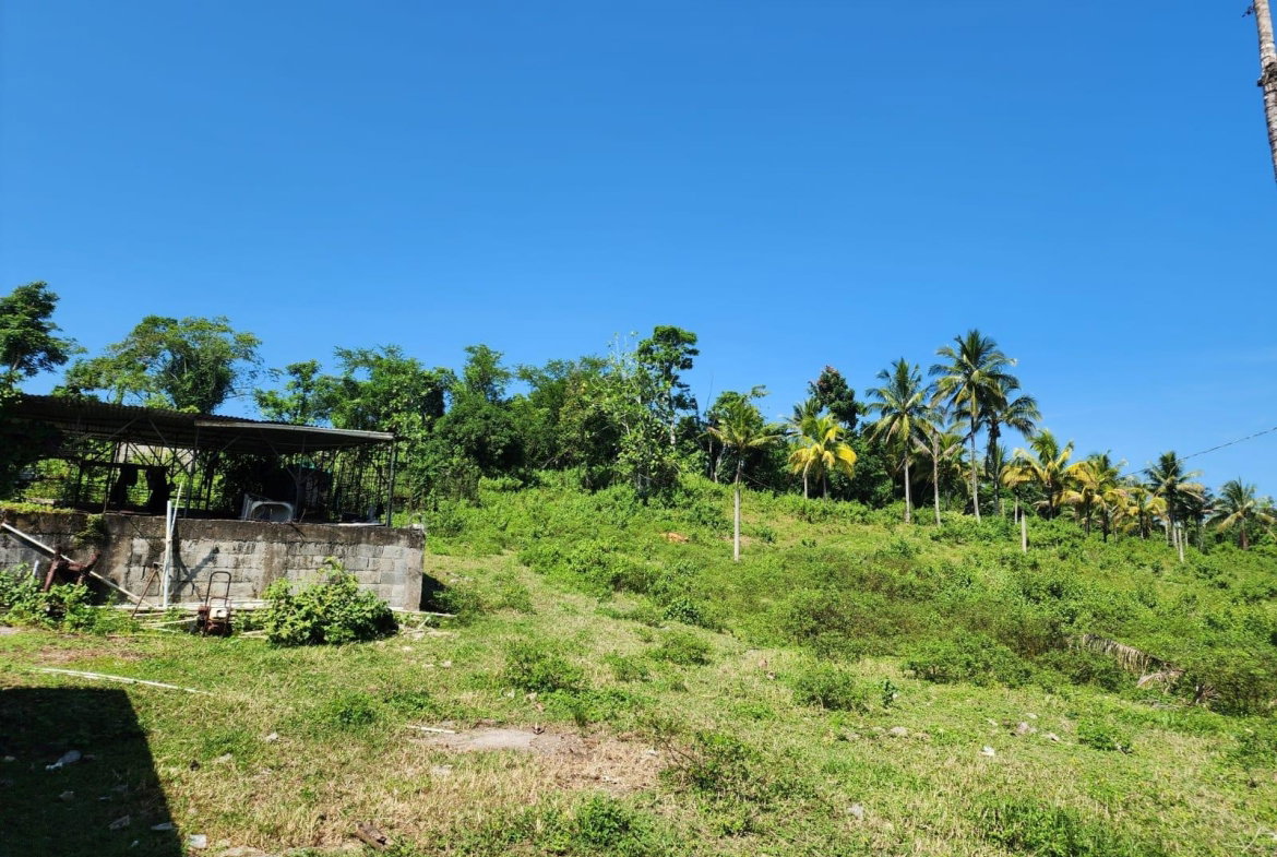 Thirteenth image of 70a Haughton Grove in Haughton Grove, Hanover, Jamaica - property is For Sale