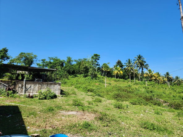 Thirteenth image of 70a Haughton Grove in Haughton Grove, Hanover, Jamaica - property is For Sale