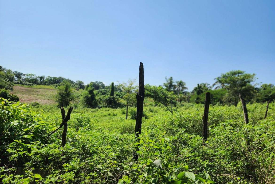 Fourteenth image of 70a Haughton Grove in Haughton Grove, Hanover, Jamaica - property is For Sale