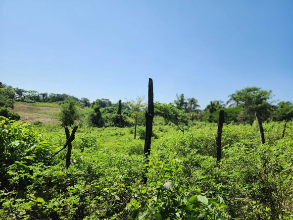 Fourteenth image of 70a Haughton Grove in Haughton Grove, Hanover, Jamaica - property is For Sale