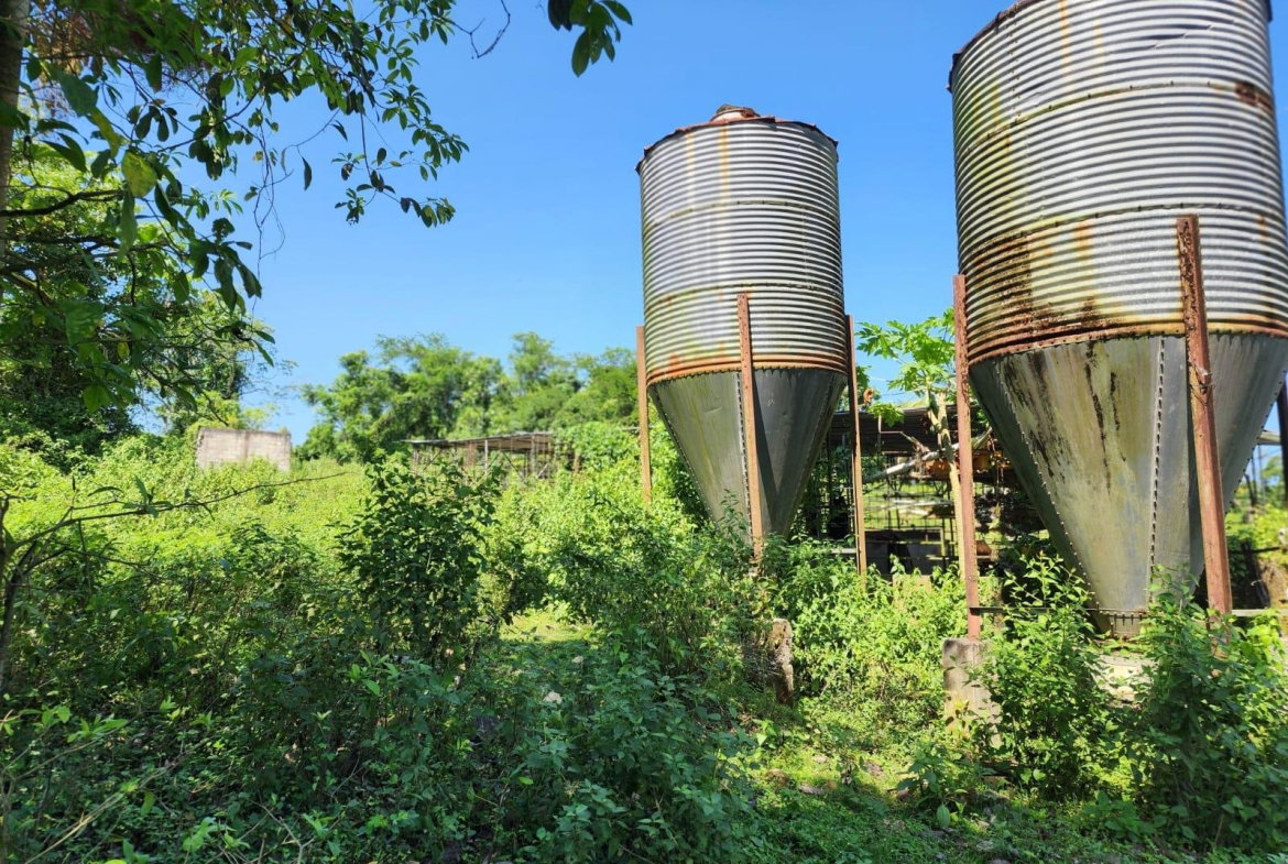 Fifteenth image of 70a Haughton Grove in Haughton Grove, Hanover, Jamaica - property is For Sale