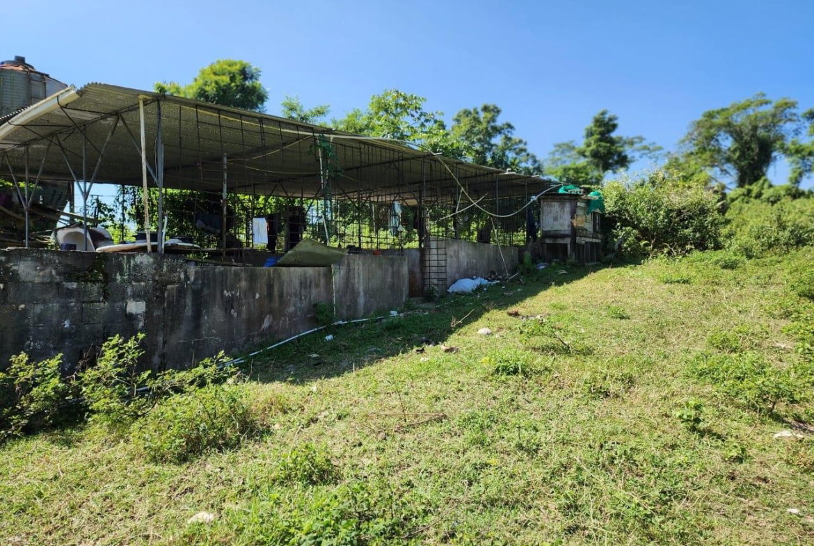 Seventeenth image of 70a Haughton Grove in Haughton Grove, Hanover, Jamaica - property is For Sale