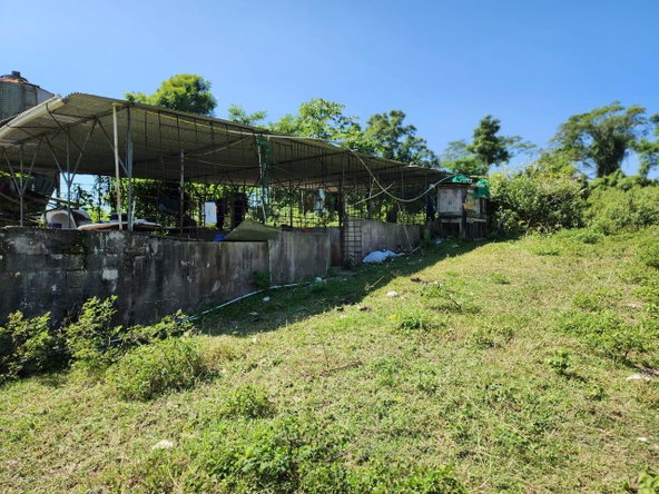 Seventeenth image of 70a Haughton Grove in Haughton Grove, Hanover, Jamaica - property is For Sale