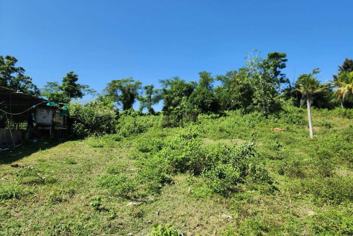 Eighteenth image of 70a Haughton Grove in Haughton Grove, Hanover, Jamaica - property is For Sale